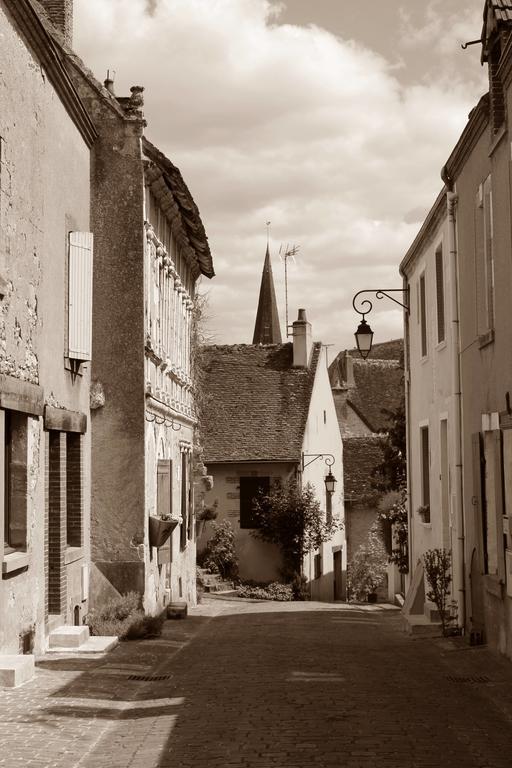Le Meuble Monestois Vila Mennetou-sur-Cher Exterior foto